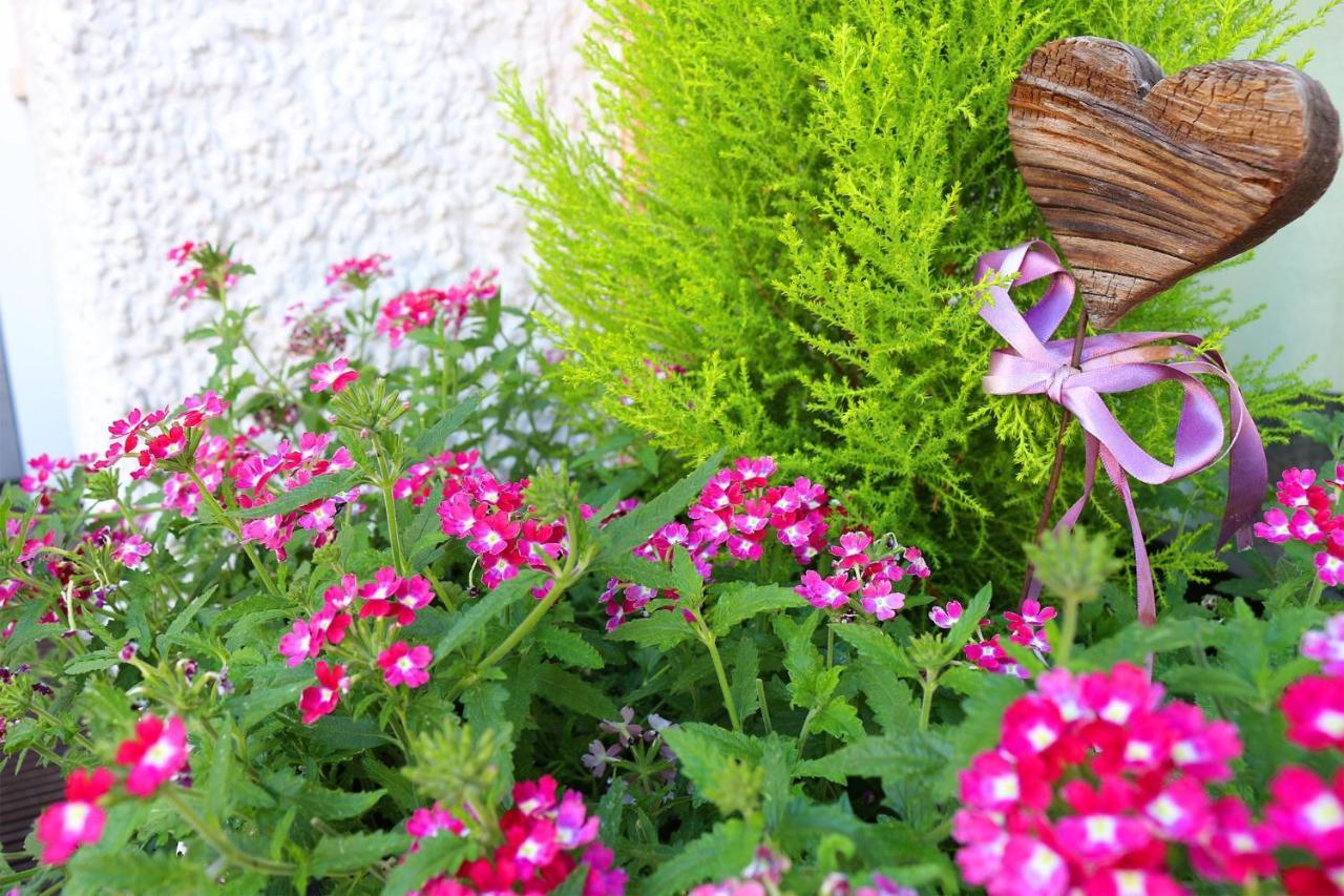 Schenna Garni Eden Bed & Breakfast Zewnętrze zdjęcie